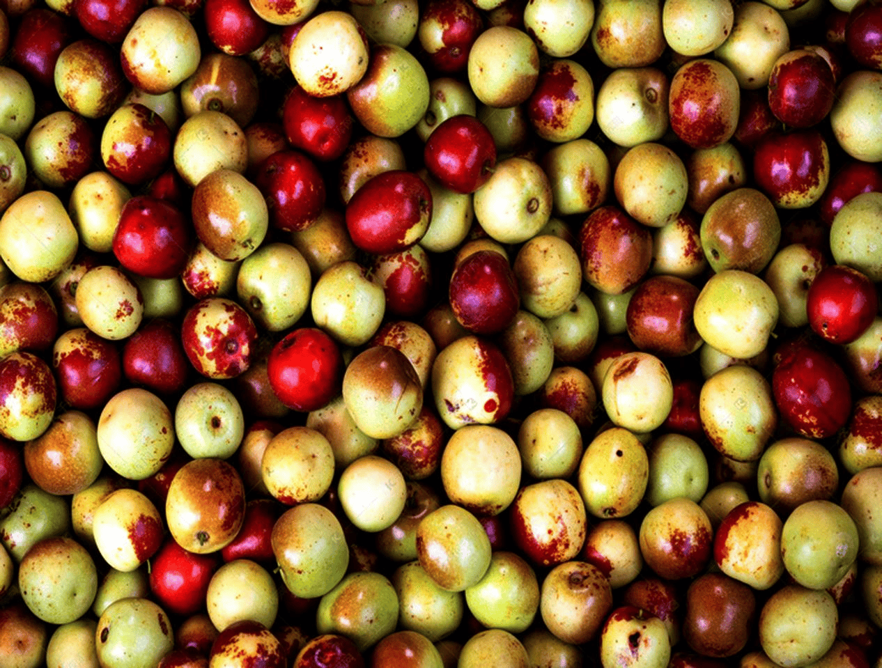 “含糖量”极高<strong></p>
<p>币投国际交易中心</strong>!解锁“北方水果公园”山西万荣的甜蜜