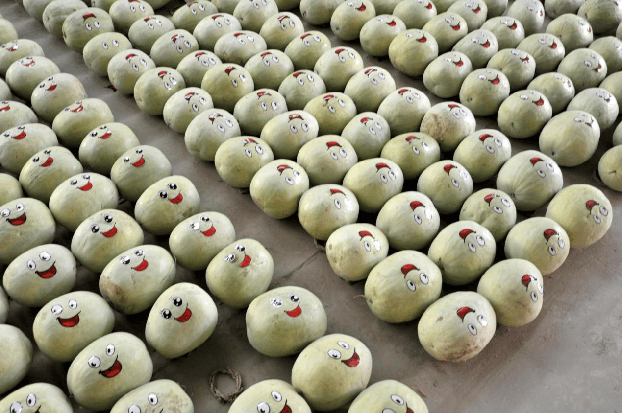 “含糖量”极高<strong></p>
<p>币投国际交易中心</strong>!解锁“北方水果公园”山西万荣的甜蜜