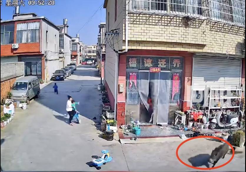 不是上海<strong></p>
<p>币投国际交易中心</strong>！不是上海！不是上海！最新：已被特警击毙