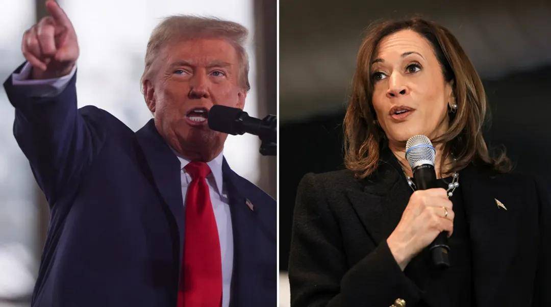 选前不被看好的特朗普<strong></p>
<p>其他货币资金保证金</strong>，何以取得历史性胜利？