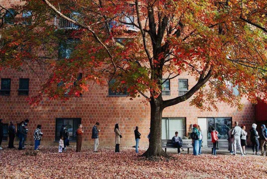 选前不被看好的特朗普<strong></p>
<p>其他货币资金保证金</strong>，何以取得历史性胜利？