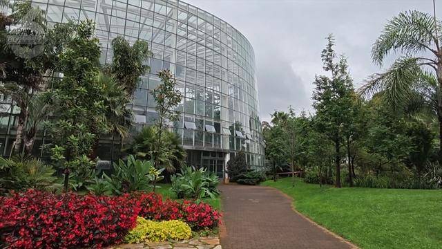 “可以蒸蛋”！昆明一女子家中搓衣板上长菌<strong></p>
<p>其他货币资金保证金</strong>，品种竟是……