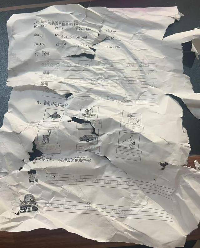 ​晚上回家发现语文作业被扫地机器人“吃”了<strong></p>
<p>其他货币资金保证金</strong>，杭州小学生陷入纠结