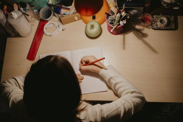 ​晚上回家发现语文作业被扫地机器人“吃”了<strong></p>
<p>其他货币资金保证金</strong>，杭州小学生陷入纠结