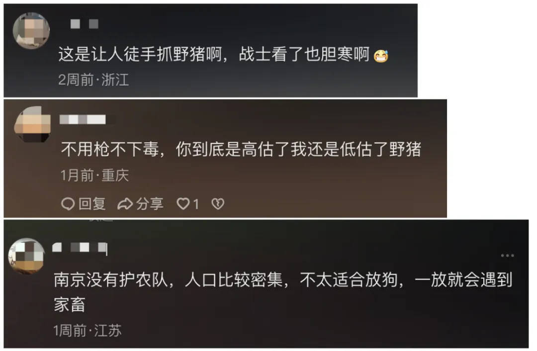 91.5万元打300头野猪<strong></p>
<p>币圈最新消息在哪里看</strong>，南京一企业中标后弃标，知情人：人手不够