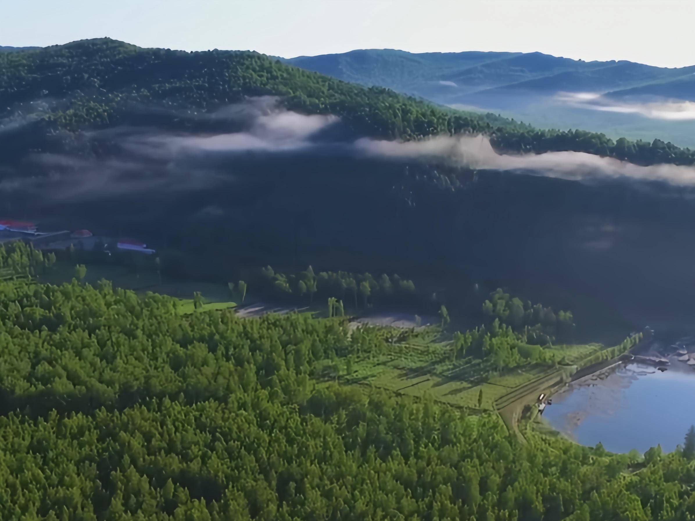 猛虎再下山：东北虎进村咬伤人事件背后的紧急应对和多方治理