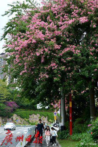 冷空气明天凌晨到达广州市区<strong></p>
<p>母币比普通币贵多少</strong>，后天起转为晴冷