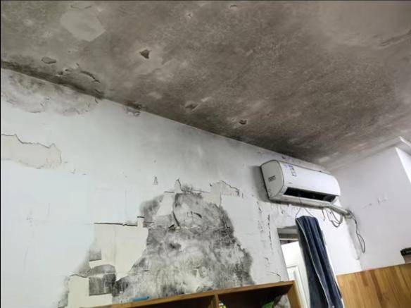 苏州一学校被曝学生宿舍环境脏乱差<strong></p>
<p>母币比普通币贵多少</strong>，食堂有发霉鸡蛋？校方回应