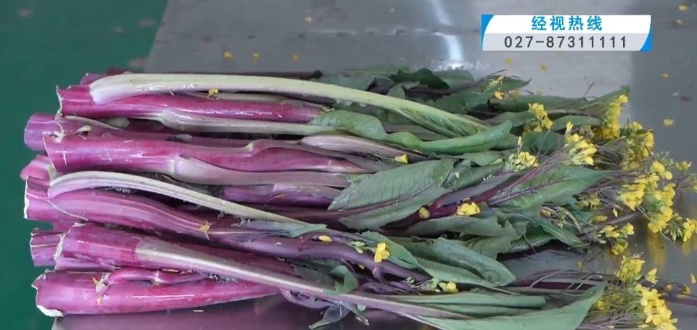 武汉人爱吃！最高1000元一斤<strong></p>
<p>basecoin币</strong>，供不应求