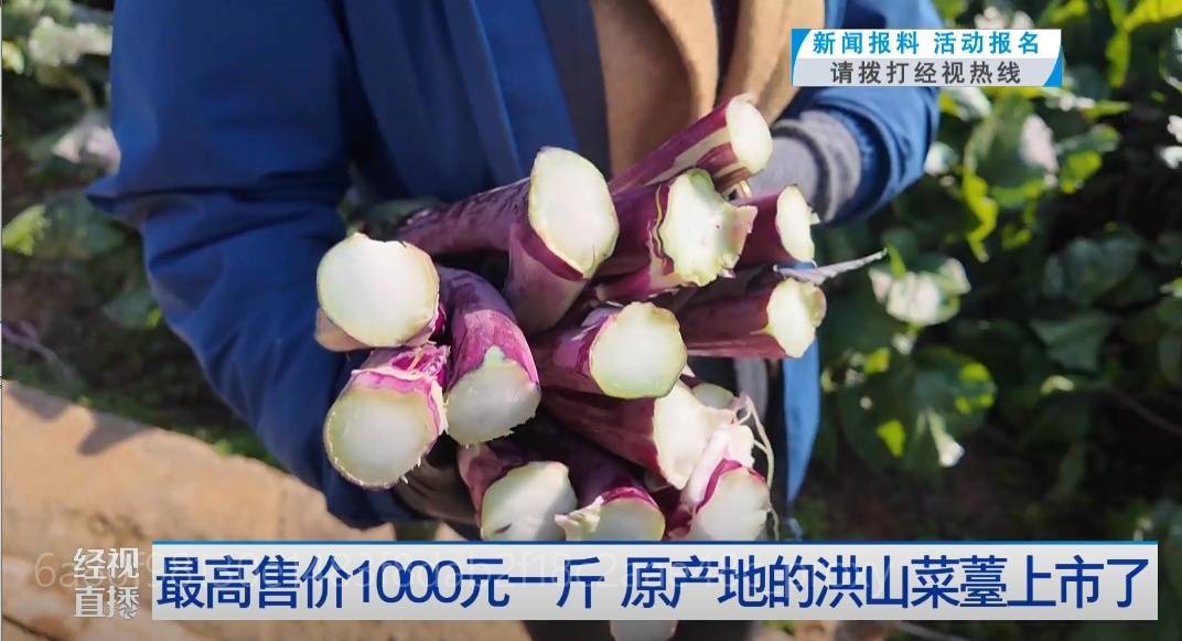 武汉人爱吃！最高1000元一斤<strong></p>
<p>basecoin币</strong>，供不应求