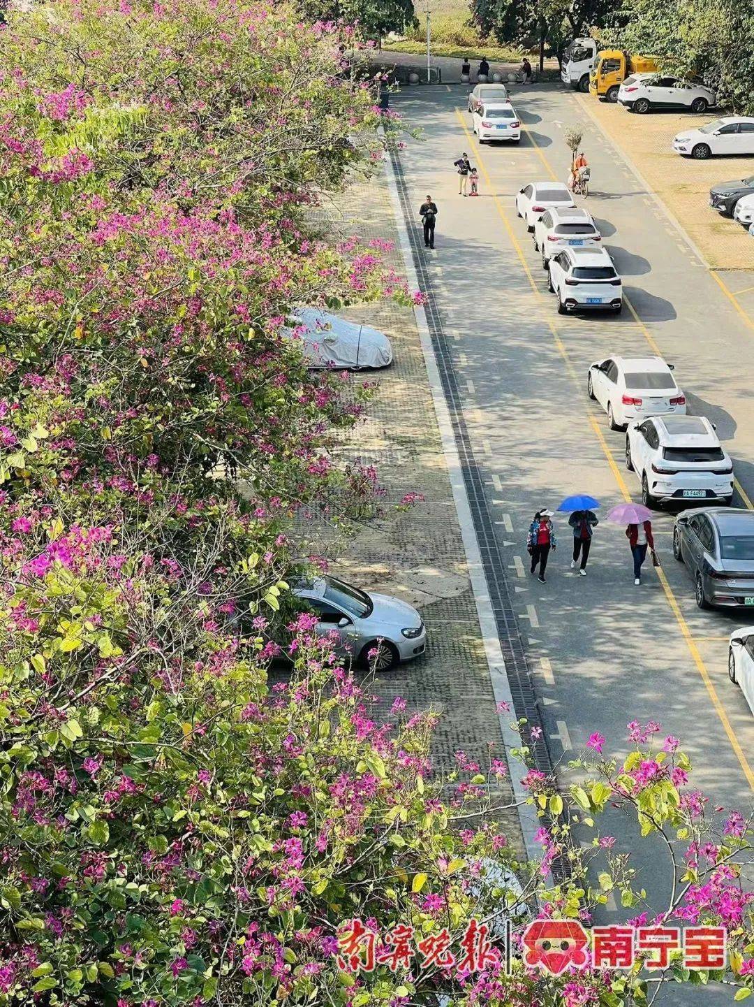 广西将开启“冻人”模式<strong></p>
<p>币圈一般去哪个论坛</strong>！最冷出现在这一天→