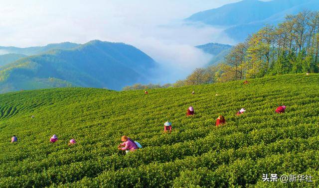 瞭望·治国理政纪事｜“<strong></p>
<p>债券在途交易市场</strong>我也是个老基层”