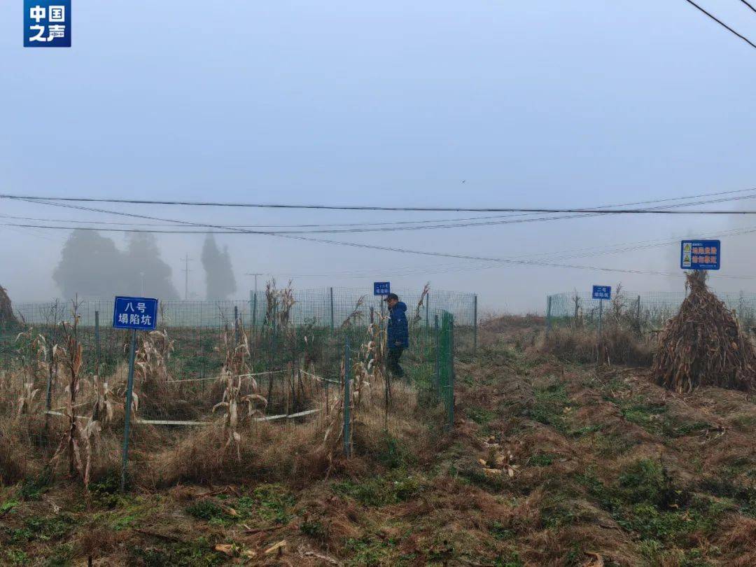 贵州一地发生30多处地面塌陷<strong></p>
<p>货币互换的风险有哪些</strong>!咋回事?