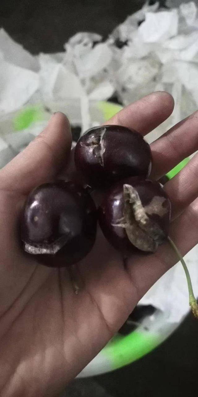 车厘子喂鸡惹争议 四川汉源果农回应：旧视频<strong></p>
<p>炒币亏得倾家荡产</strong>，喂鸡的是“次果”