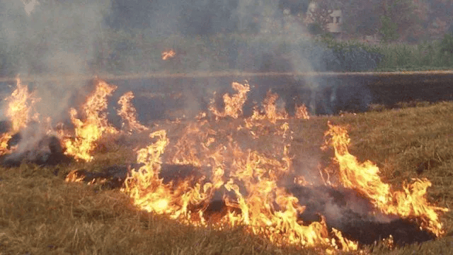 唐山各乡镇、村落一律禁止<strong></p>
<p>ok下载</strong>！多名村民被罚