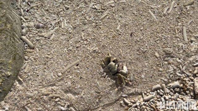 青岛女子买下70万平米小岛后续来了：目前没打算私有<strong></p>
<p>如何刷厘米币</strong>，七八月份将带员工到岛上团建