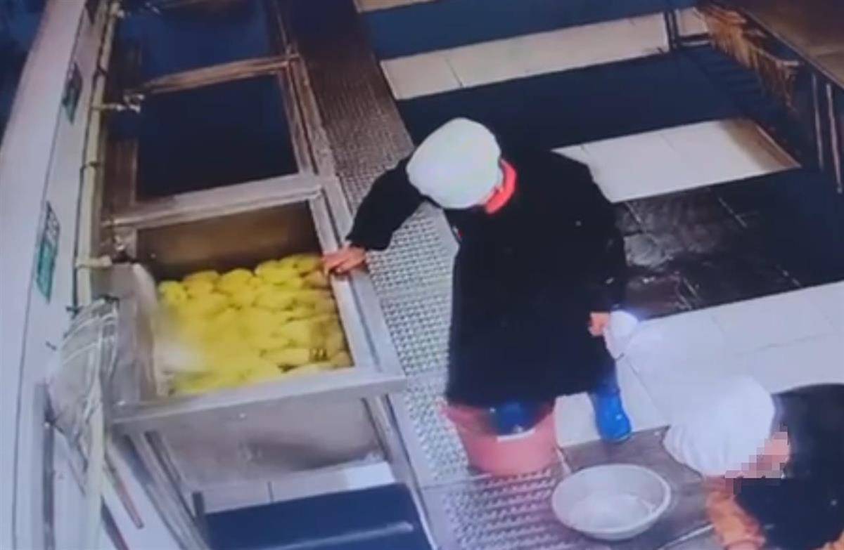 食堂人员用脚踩食材<strong></p>
<p>如何刷厘米币</strong>，江西新余十六中校长被免职，市监局：举一反三保障食品安全