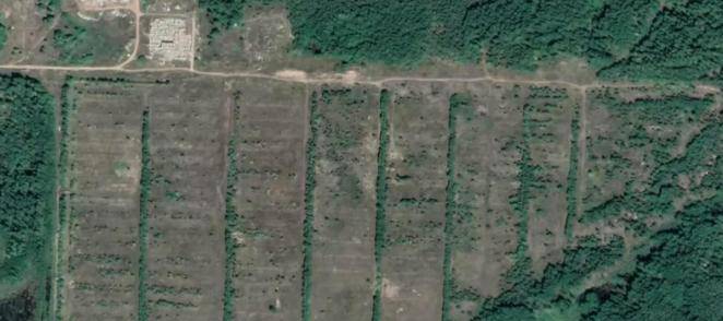 西方卫星拍下远东一幕<strong></p>
<p>新手如何炒币</strong>，俄军数千辆坦克“消失”，乌做好最坏打算