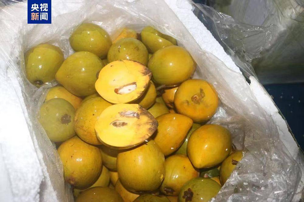 共计4.13吨<strong></p>
<p>如何进入币圈</strong>！广西北海海警查获一起涉嫌走私水果案