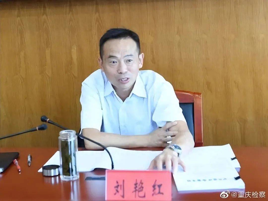 “内鬼”刘艳红<strong></p>
<p>如何进入币圈</strong>，已主动投案