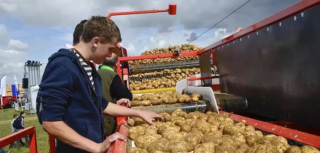 中方拒绝让步，延长5年反倾销税！欧盟果断认输，主动提出要合作