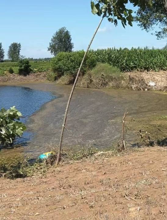 “女生遭侵犯落水被阻挡上岸至溺亡”案续：检方提起抗诉<strong></p>
<p>如何在币圈发币</strong>，建议死刑