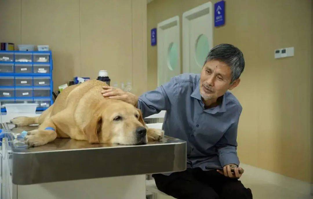 3000万只宠物的养老<strong></p>
<p>如何购买eth币</strong>，难倒了年轻人