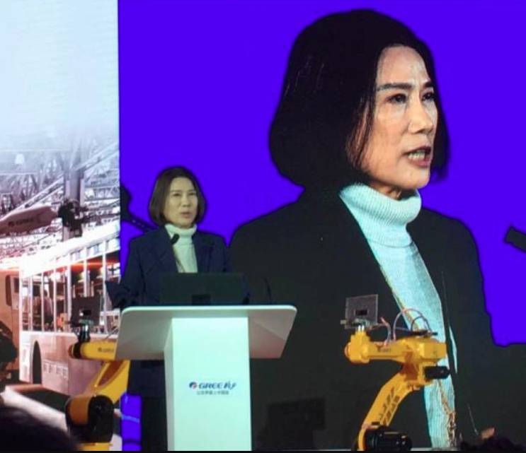 董明珠再炮轰“挖人才”是小偷行为<strong></p>
<p>交易指数如何计算</strong>,业绩被美的小米远远甩在身后