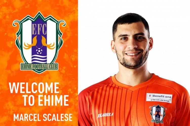 官方：前泰山外援马塞尔加盟J2球队爱媛FC<strong></p>
<p>云币网如何炒币</strong>，将身披3号球衣