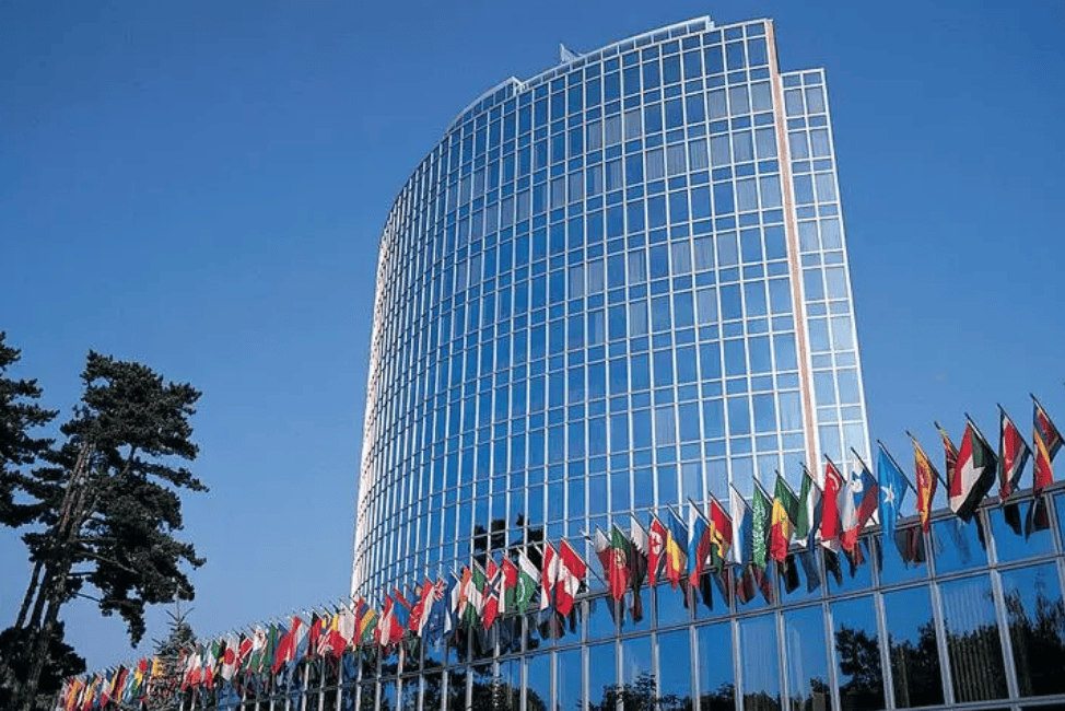 数10人死亡！特朗普遭晴天霹雳<strong></p>
<p>可转换债券如何交易</strong>，联合国都被惊动，中方早有言在先