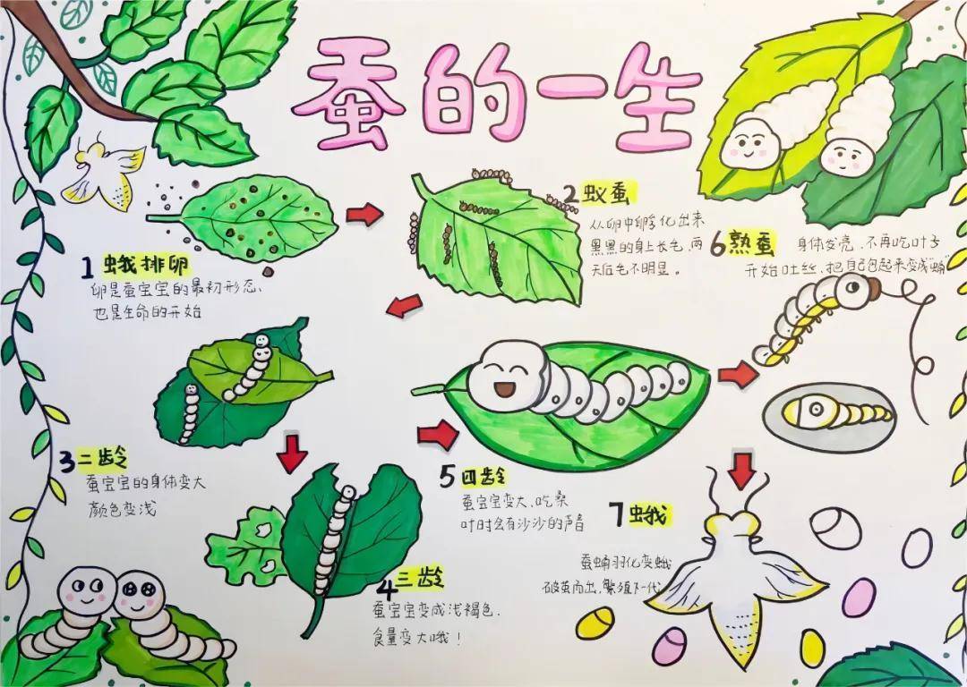 一年卖出1亿条虫！迷倒全国“10后”的小生意<strong></p>
<p>如何玩转为币</strong>，有人年入千万