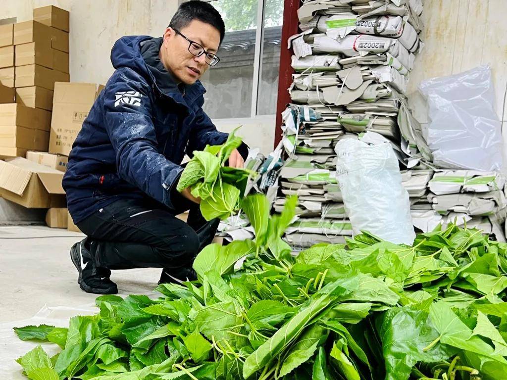 一年卖出1亿条虫！迷倒全国“10后”的小生意<strong></p>
<p>如何玩转为币</strong>，有人年入千万