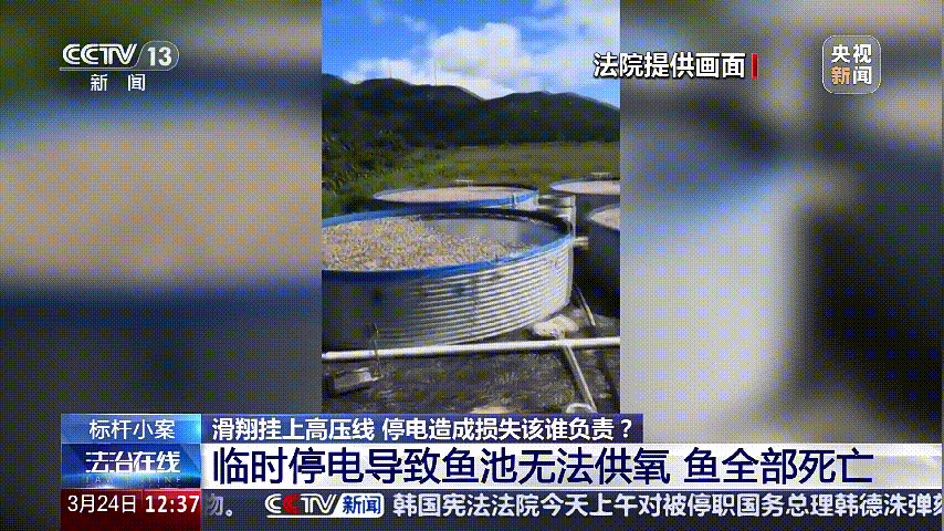 深圳女子被挂高压线!停电救援<strong></p>
<p>币圈小白如何获取资讯</strong>,9池鱼死光!他怒上法庭……