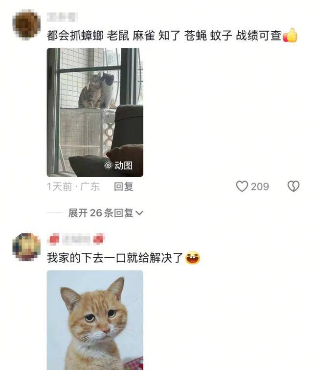 老鼠掉进泳池<strong></p>
<p>币圈小白如何获取资讯</strong>，广东大叔出动鸡猫狗团队，结果全被老鼠吓跑！网友坐不住纷纷晒战绩