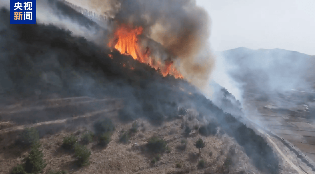 山西发生一起火情<strong></p>
<p>币圈小白如何获取资讯</strong>！最新消息：纵火人员已被抓获