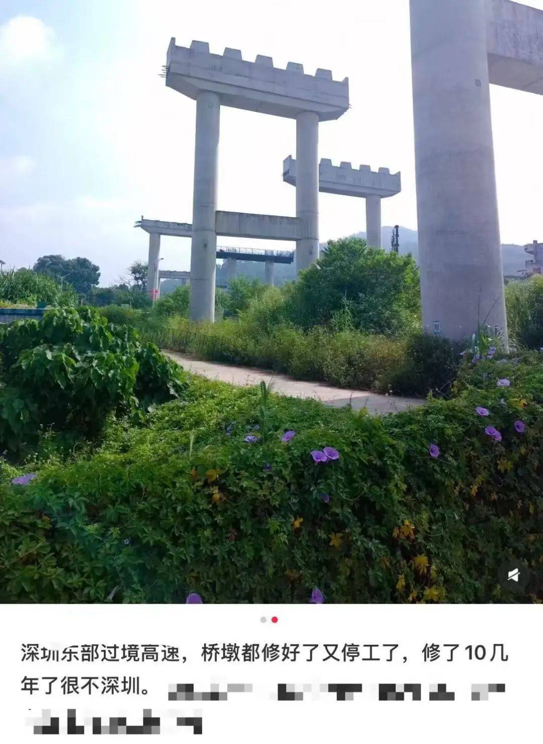 一度被传"烂尾"！盼了15年的深圳东部过境高速<strong></p>
<p>货币超发如何保值</strong>，终于等来官宣推进