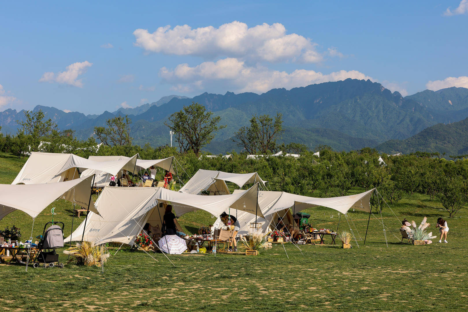 原价499元的天幕现在卖148元<strong></p>
<p>天涯币如何交易</strong>，二手平台现露营装备低价甩卖