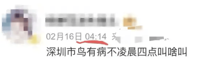 “周末想睡个懒觉都不行”<strong></p>
<p>如何上币</strong>，有多少深圳人被这种鸟吵到神经衰弱