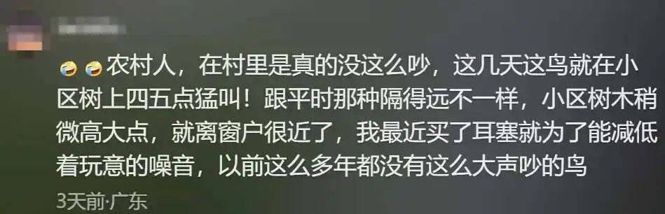 “周末想睡个懒觉都不行”<strong></p>
<p>如何上币</strong>，有多少深圳人被这种鸟吵到神经衰弱