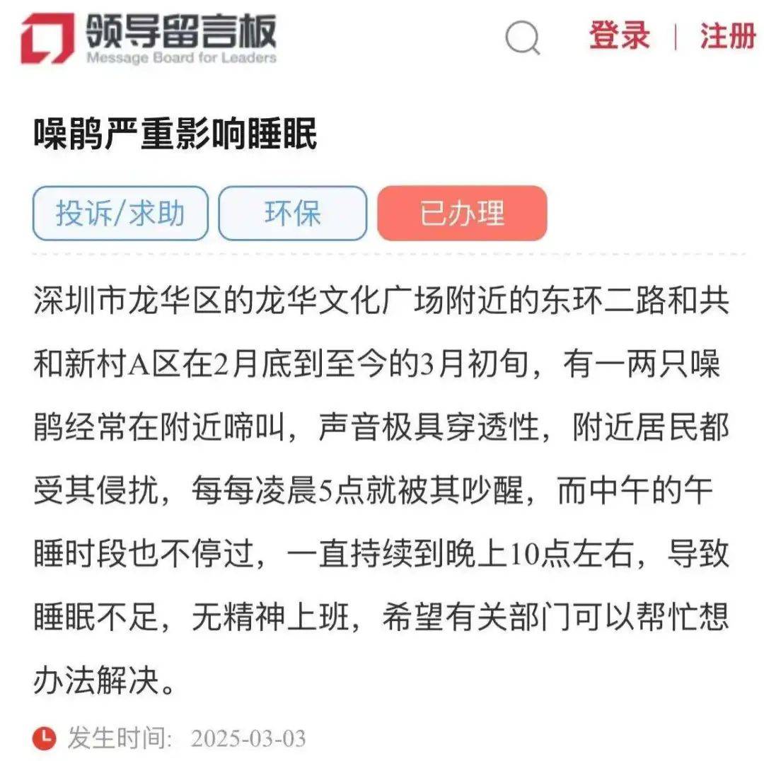 “周末想睡个懒觉都不行”<strong></p>
<p>如何上币</strong>，有多少深圳人被这种鸟吵到神经衰弱