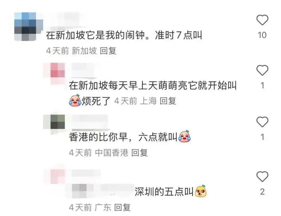 “周末想睡个懒觉都不行”<strong></p>
<p>如何上币</strong>，有多少深圳人被这种鸟吵到神经衰弱