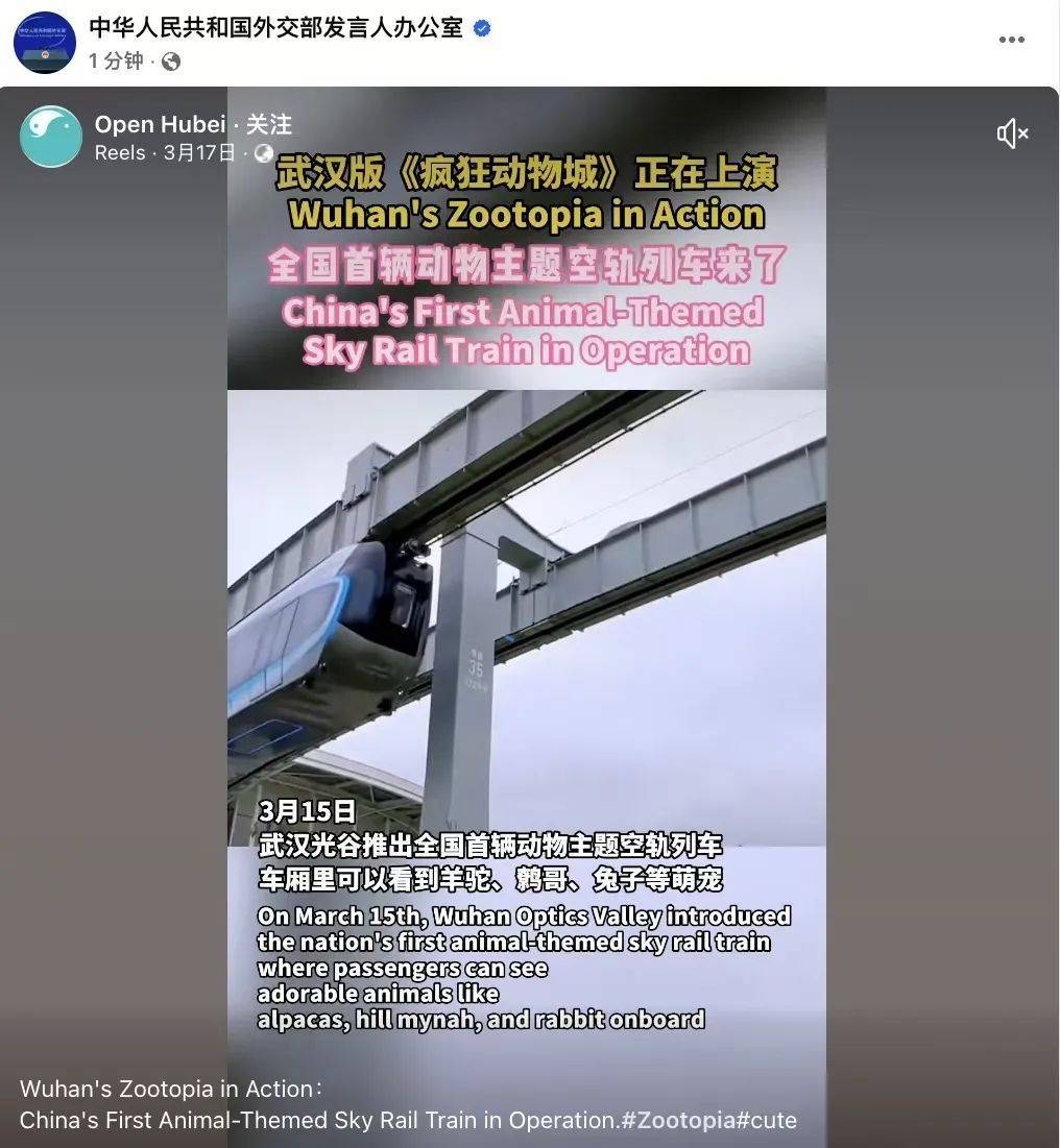 外交部转发！武汉空轨上有羊驼