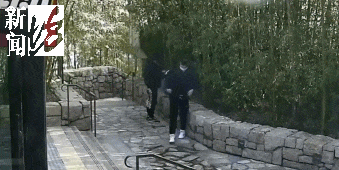 太猖狂！事发上海迪士尼<strong></p>
<p>如何玩转币圈</strong>，7人被刑拘