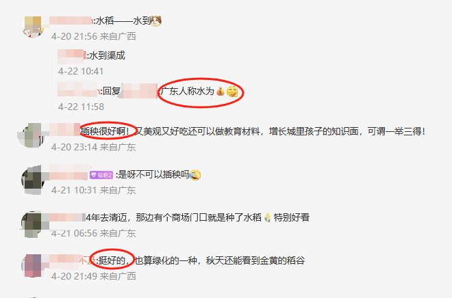 谁种的？东莞闹市区绿化带惊现水稻<strong></p>
<p>如何成为炒币高手</strong>，网友化身福尔摩斯来探案，家居广场：商户提的建议