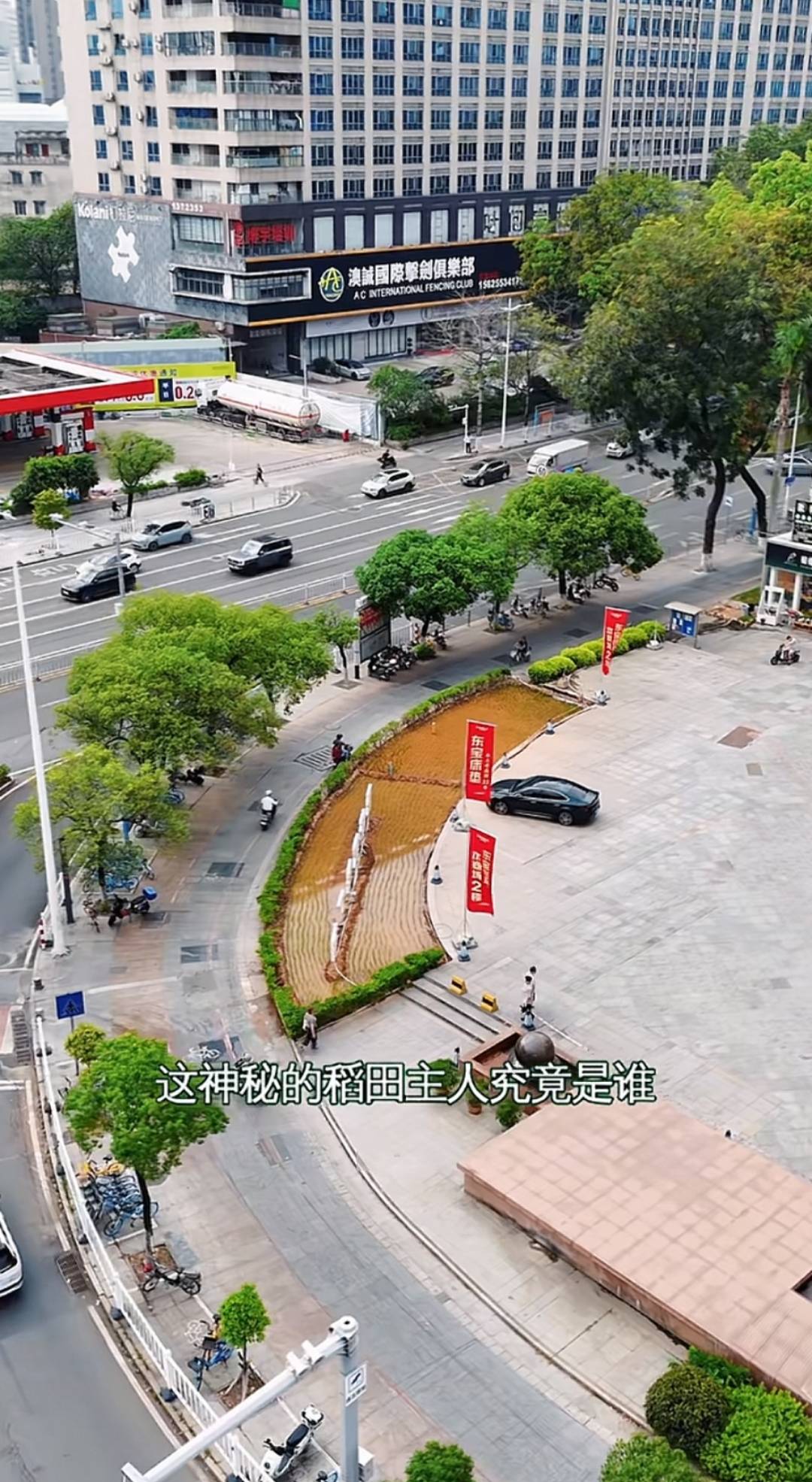 谁种的？东莞闹市区绿化带惊现水稻<strong></p>
<p>如何成为炒币高手</strong>，网友化身福尔摩斯来探案，家居广场：商户提的建议