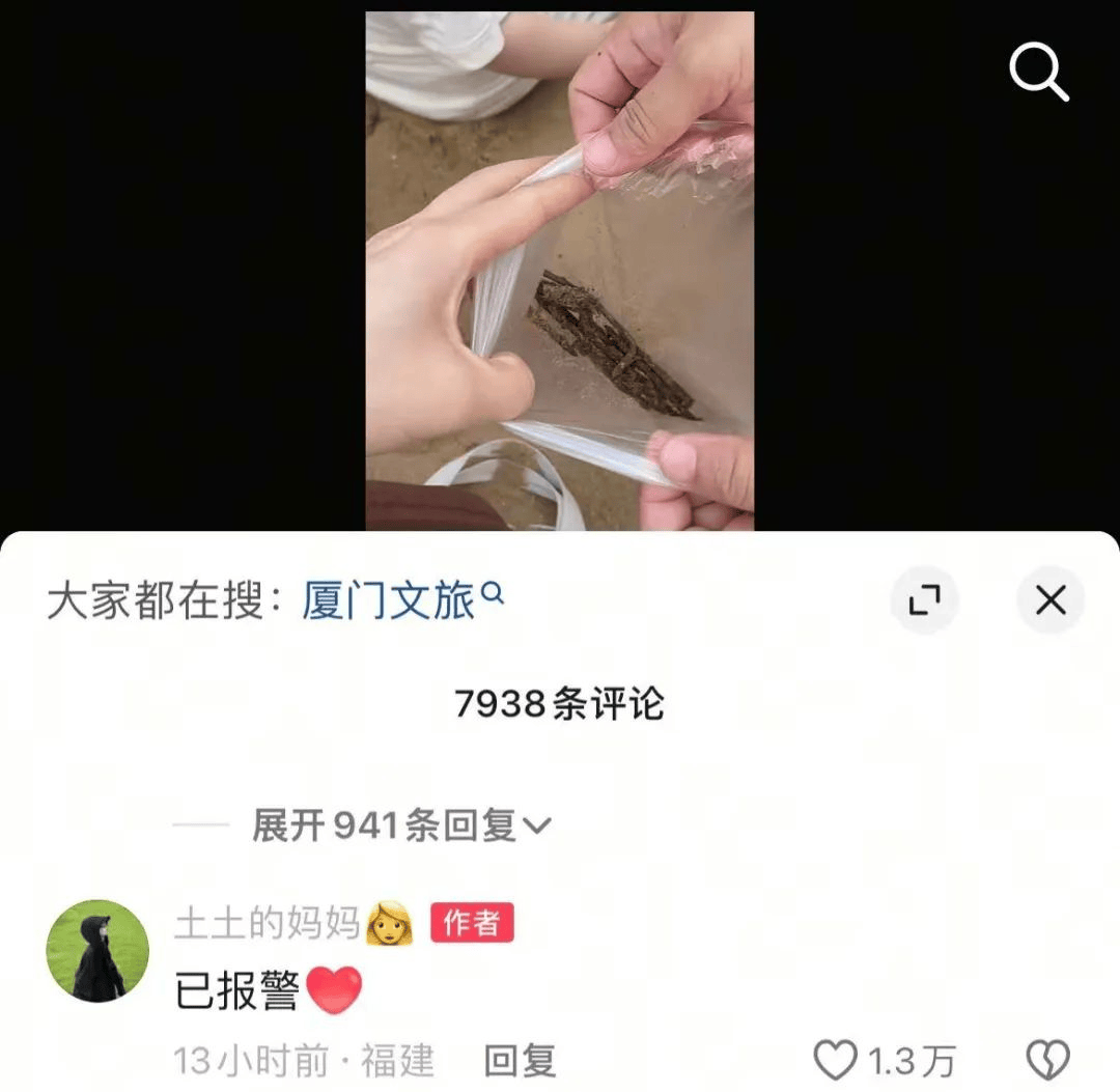 女子在沙滩玩20分钟捡<strong></p>
<p>深圳</strong>了小半兜生锈铁钉