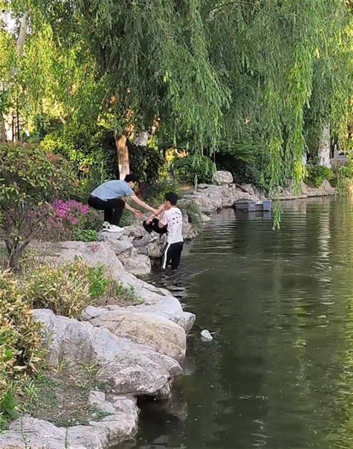 徐州一女童落水被救起<strong></p>
<p>东莞</strong>，家长赶来先责怪孩子，救人者：家长当时吓坏了，后来已道谢