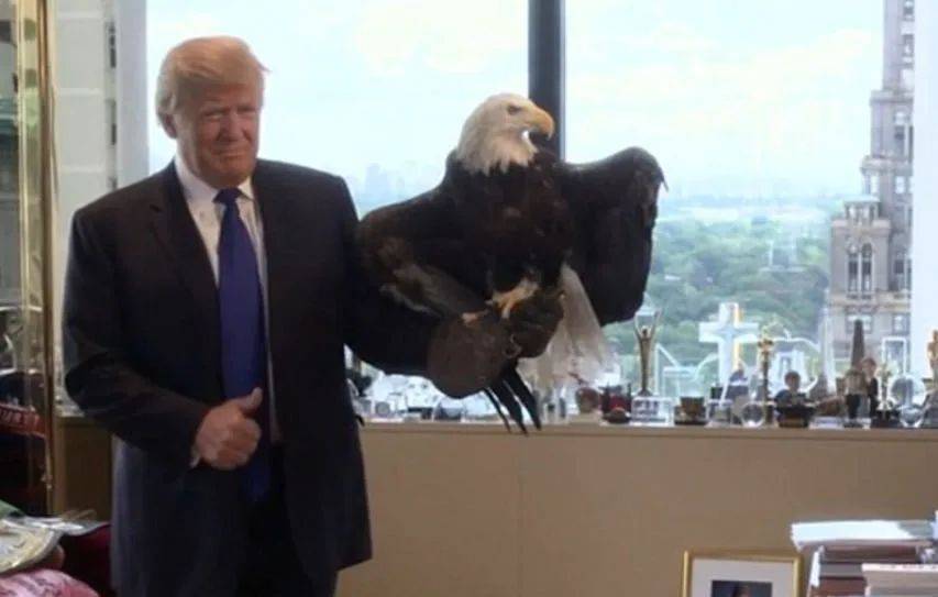 耶伦再次站了出来<strong></p>
<p>slo</strong>，若是与中国对着干，就把美国自己给“打残”了