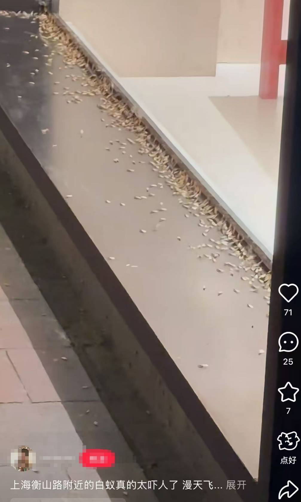 紧急提醒：瞬间爆发！上海市民崩溃：密密麻麻<strong></p>
<p>瓷器</strong>，蠕蠕爬行...“梧桐区”已开始战斗，白蚁或提前分飞