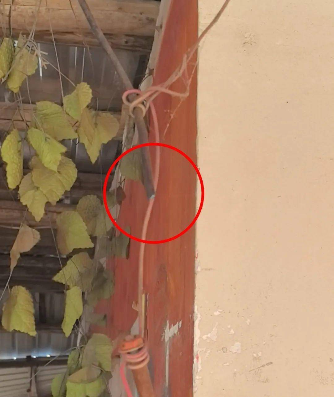 侄女与姑姑争祖父留下的门面<strong></p>
<p>sks</strong>，长沙租客“躺枪”：我被打了，店也被锁了！